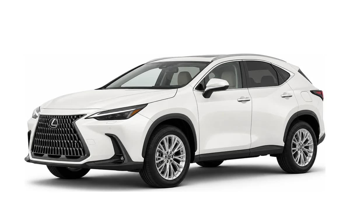 NX 350
