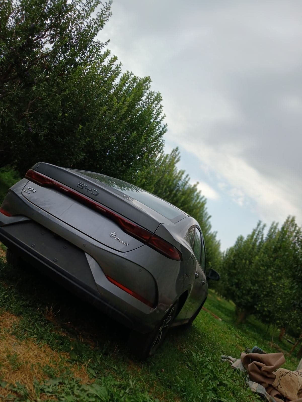 بیوایدی چین پلاس
